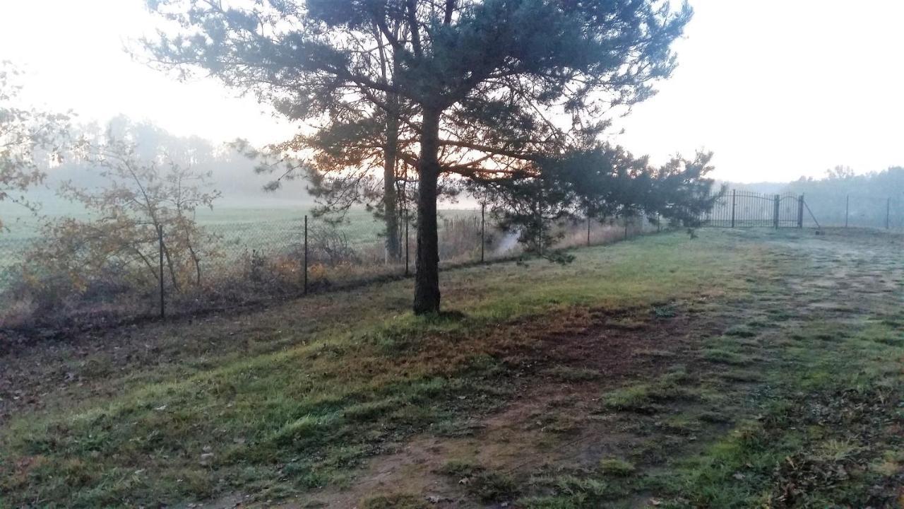 Willa Kraniec Swiata - Tylko Dla Ciebie - Zachwyca Krajobrazem, Regeneruje Cisza I Komfortem Boleslawiec  Exterior photo